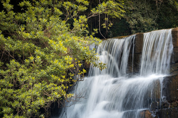 Obraz premium The waterfall.