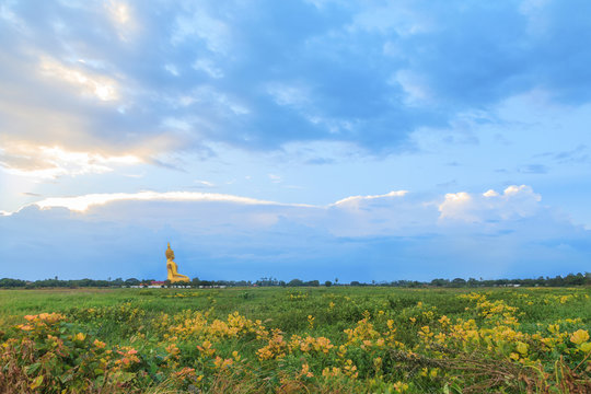 Big golden buddha image at sunset background