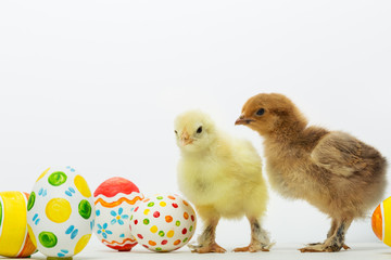 Little chicks and Easter eggs