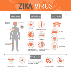 Zica virus infographic