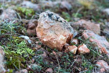 Stone and grass close up