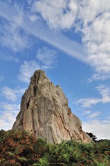 Fototapeta na wymiar Joli paysage de la côte avec ses rochers étranges à Plougrescant en Bretagne