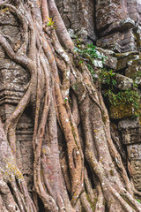 Angkor Wat, Cambodia - December 6, 2016: Galleries and tourists