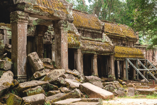 Trees and galleries in Ta Prohm Temple, Cambodia.