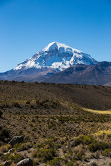 high Andean tundra landscape in the mountains of the Andes. Sajama National Park is a national park located in the Oruro Department, Bolivia. It borders Lauca National Park in Chile. 