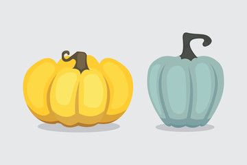 Set vector cartoon Pumpkin isolated. Autumn vegetable plant vegetarian