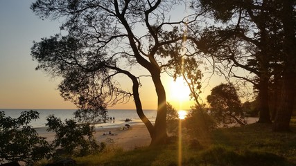 Atardecer