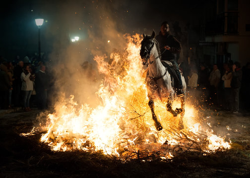 Horses jumping above the fire without fear