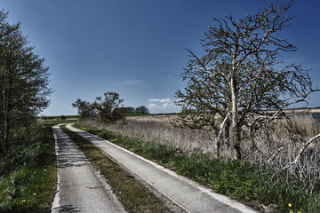 Village landscape of concrete road in spring in Germany.