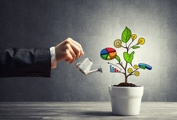 Drawn income tree in white pot for business investment savings and making money