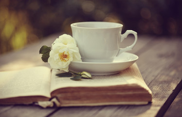 White tea ?up with a flowers of dogrose on an open book