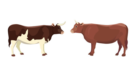cartoon vector bull mammal animal isolated