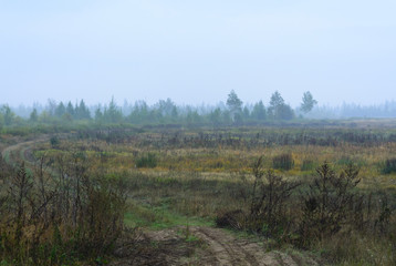 Obraz na płótnie Canvas Fog in the field, road, Belarus, Brest region, September, autumn, morning, dawn,