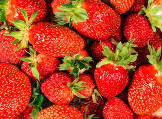 Placer big juicy berries strawberry closeup