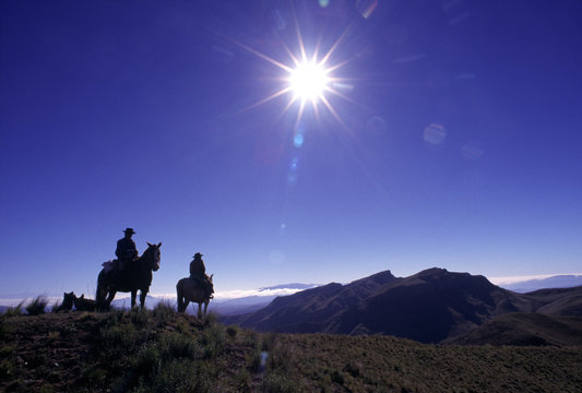 caballos y gauchos