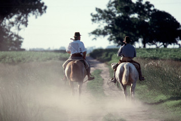 caballos y gauchos