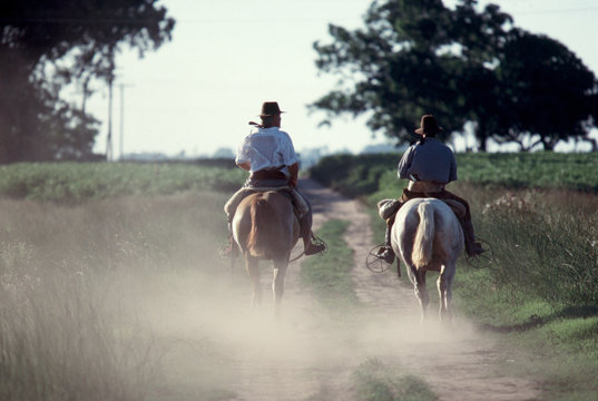 caballos y gauchos