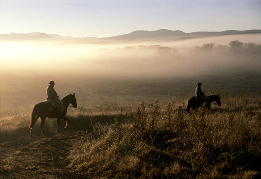 caballos y gauchos