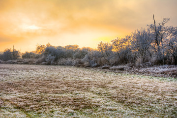 Sunset on a foggy winter day with frosted trees