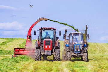 Obraz premium agricultural equipment for harvesting crop