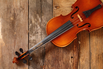 Naklejka na ściany i meble Violin - music and elegance