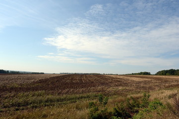 Agricultural field in the Voronezh region.