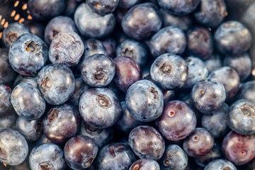 Abundance of fresh blueberries