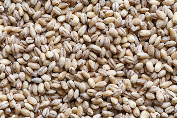Background of dried pearl barley from above.