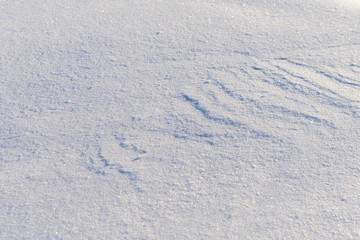 clean the surface of the snow layer