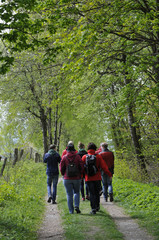 wandergruppe auf einem naturweg