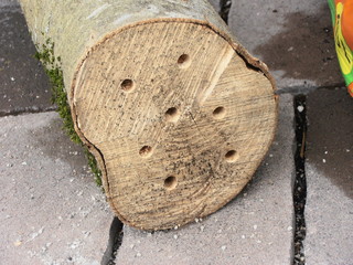 Die tägliche Holzarbeit