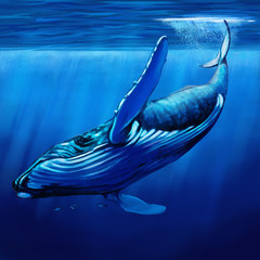 Fototapeta premium Looking up at a blue whale, surrounded by bonito fish, diving just below the surface of the water streams of sunlight from the ocean surface form a halo around it . 