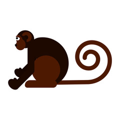 Monkey flat style vector illustration isolated on white.
