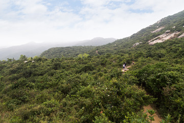 Fototapeta na wymiar View of hills and lush and verdant nature along the Dragon's Back hiking trail in Hong Kong, China.