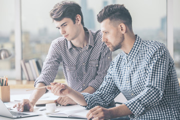 Handsome men working on project