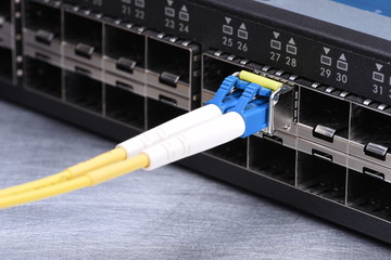 Internet Technology Devices Fiber Optic Network Cables in Switch