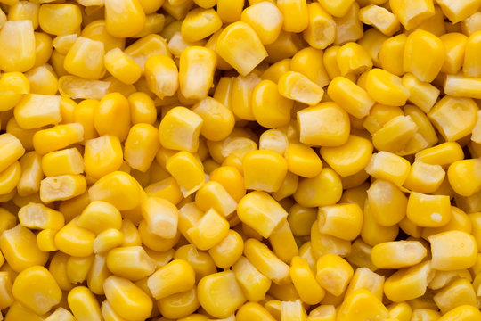 Bulk of yellow corn grains texture.