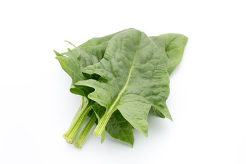 Fresh leaves of spinach on the white background.