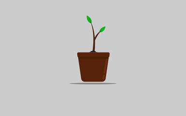 Tree in a pot flat icon