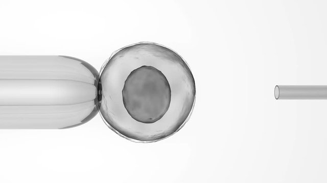 Cell injection macro view, cloning process, DNA material injected into nucleus. Cell injection as seen under microscope