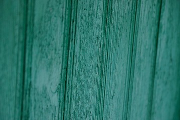 Текстура дерева © butus