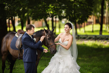 Bride and groom looking at each other near horse after wedding ceremony