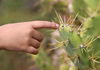 Pincharse con un cactus