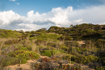 Beautiful landscapes of Fishermen's Trail, Trails Alentejo, Rota Vicentina hiking trail Portugal
