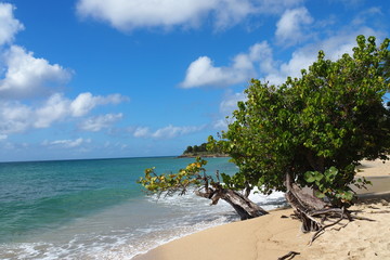 Martinique plage de ste Luce
