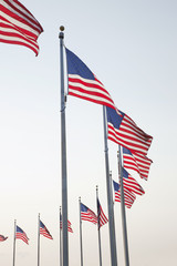 American flags at the Washington Monument in Washington DC