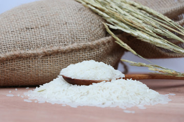 Rice grain background