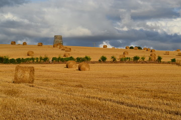 Scène champêtre, France