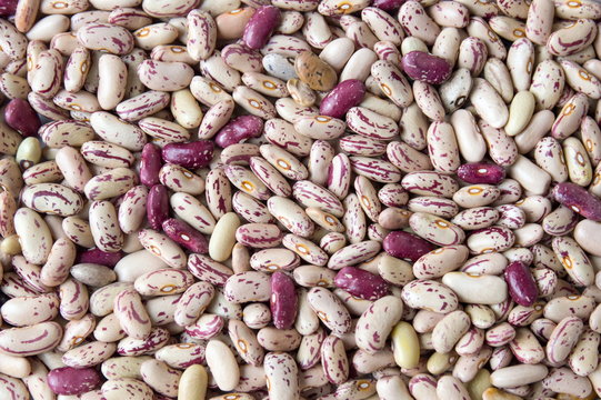 Colorful Borlotti beans background pattern