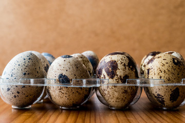 Obraz premium Quail Eggs in plastic box / carrier